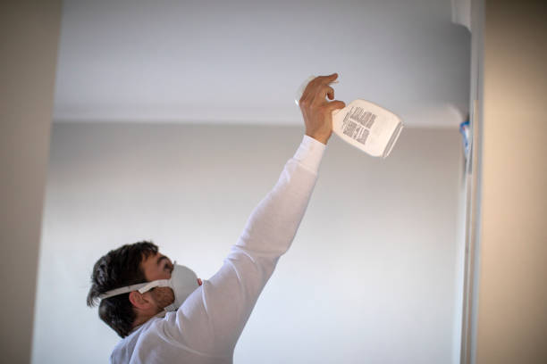 Trusted Clinton, PA Mold Removal Experts