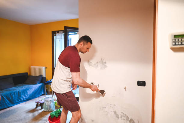 Certified Mold Removal in Clinton, PA